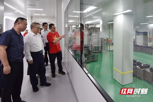 湖南省食品专家团队技术服务进产区活动在平江启动