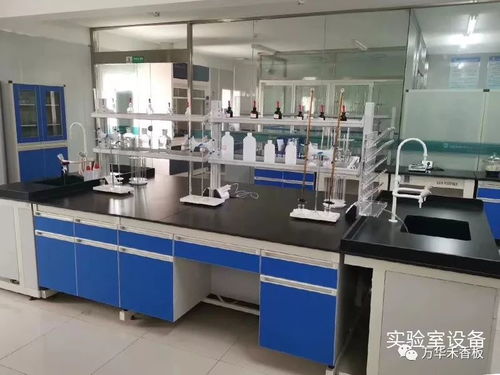 学习专业技能，提升服务水平，助力客户2020再创新高